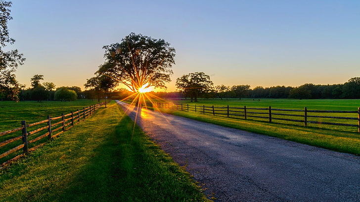 land, lens flare, sun, light Free HD Wallpaper