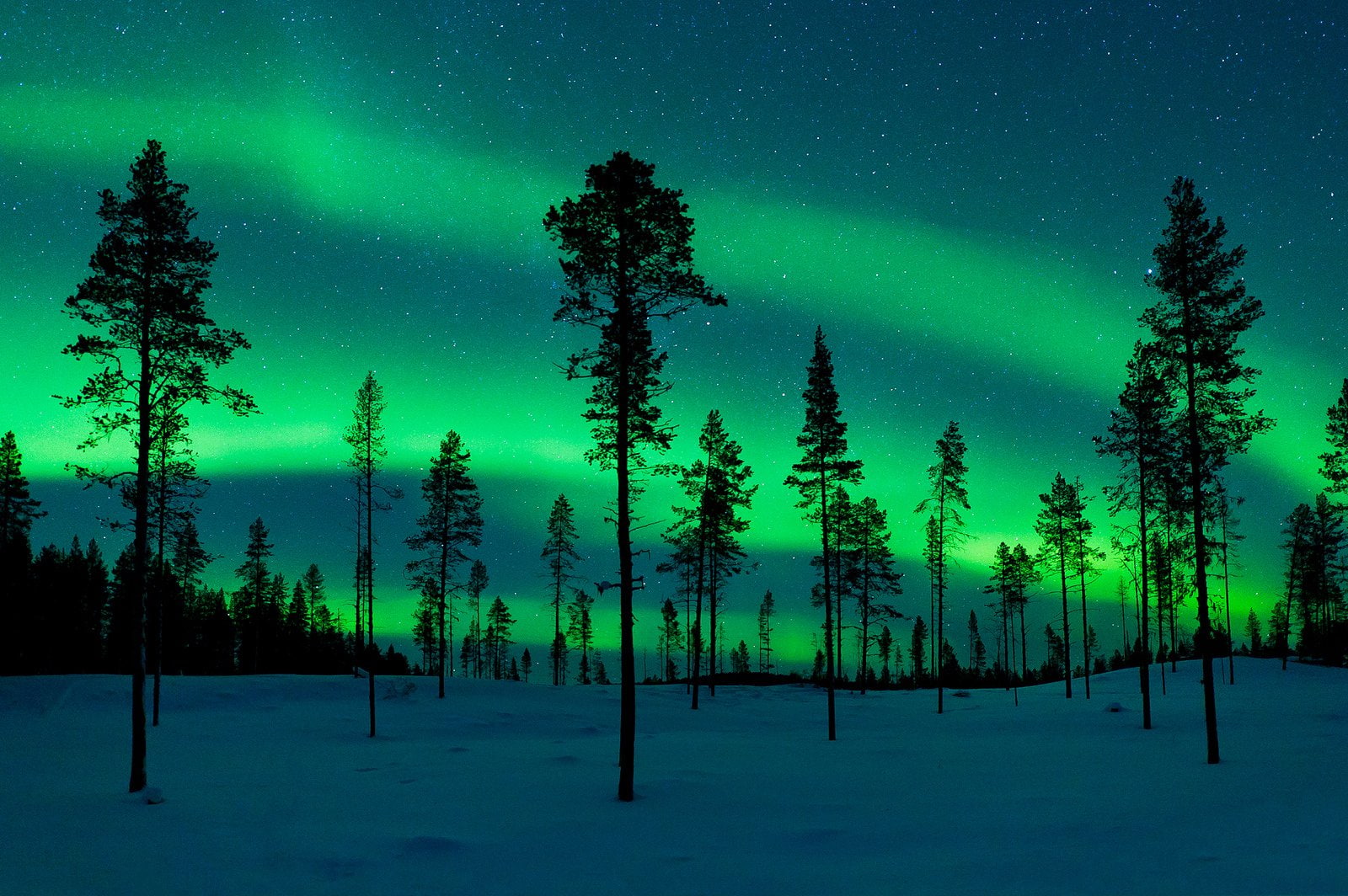 nature, outdoors, sky, northern