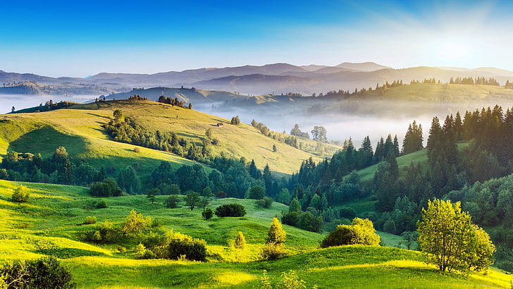 Nature, ukraine, mount scenery, meadow, sky Free HD Wallpaper