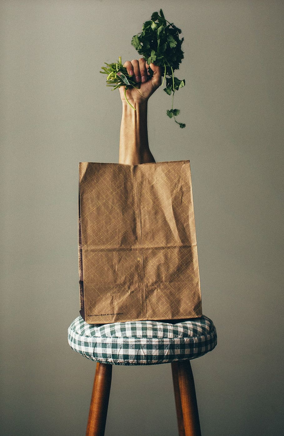 Reusable Grocery Bags DIY, nutritious, hanging, copy space, shop