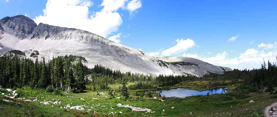 Snowflakes, sky, wilderness area, landscape, forest Free HD Wallpaper