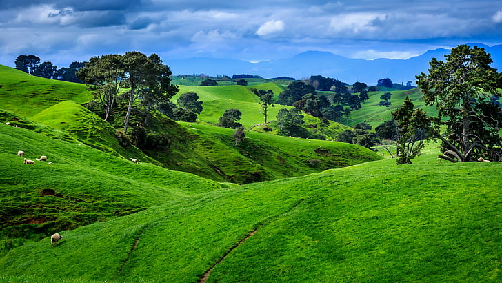 Spring in New Zealand, mount scenery, hill, pasture, grass Free HD Wallpaper