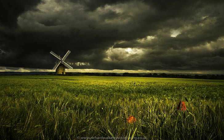 Stormy Sky Drawing, agriculture, clouds, poppies, stormy Free HD Wallpaper