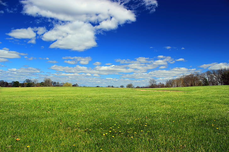 Unsplash Grass, blue, green color, summer, lehigh valley Free HD Wallpaper
