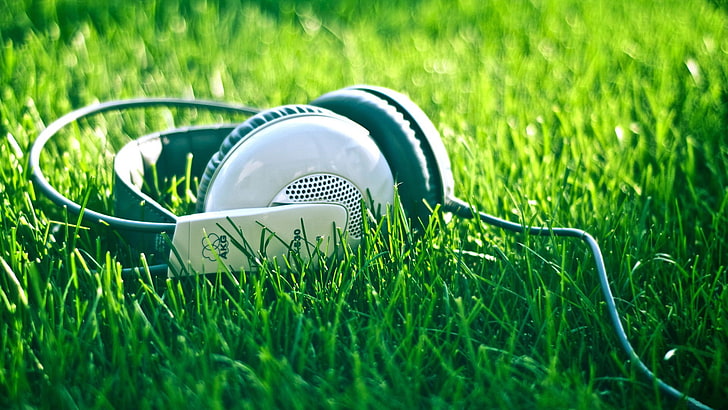 2.5Mm Headset, sunlight, golf, plant, selective focus Free HD Wallpaper