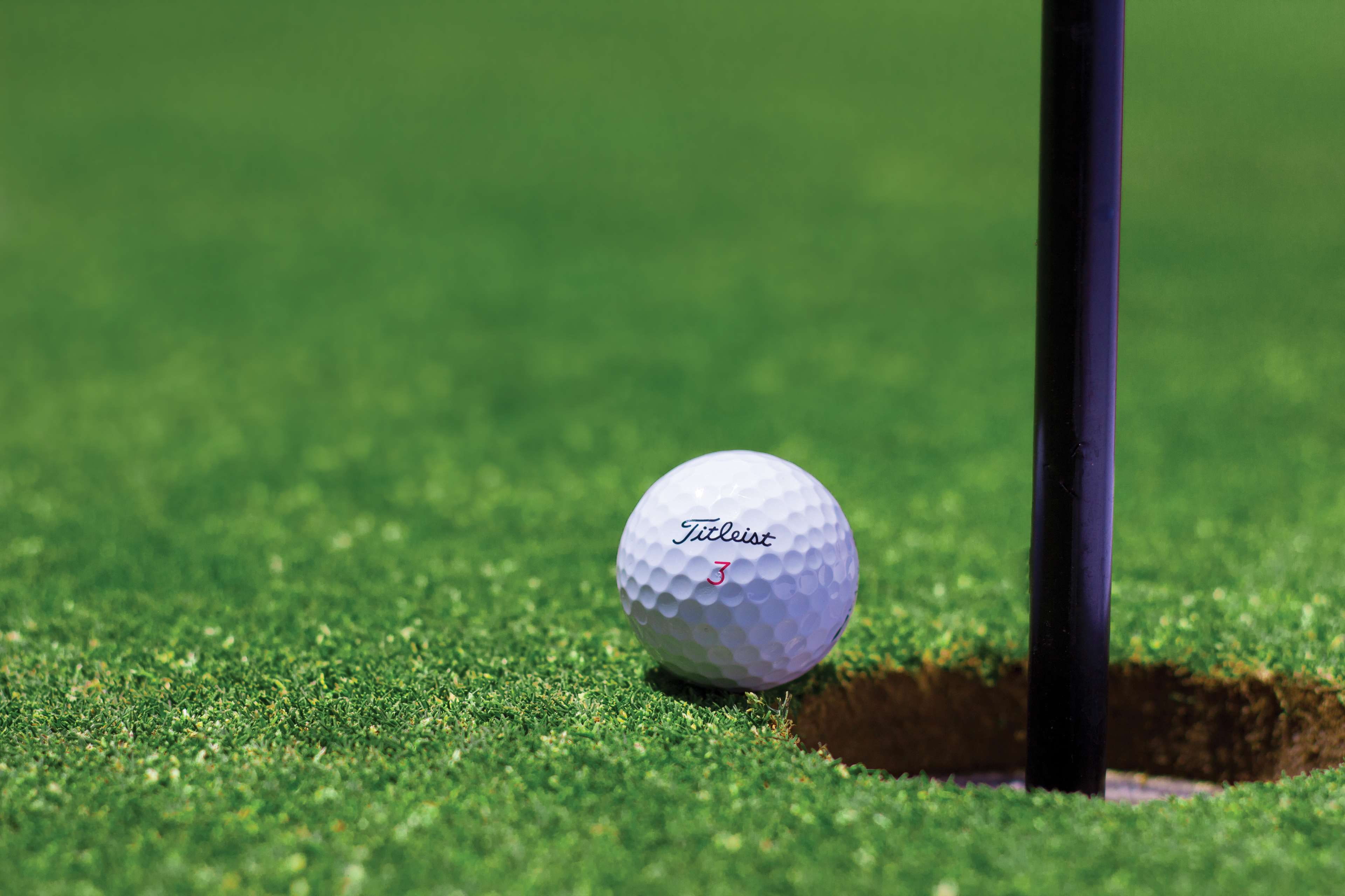 activity, golfer, golf course, outdoors