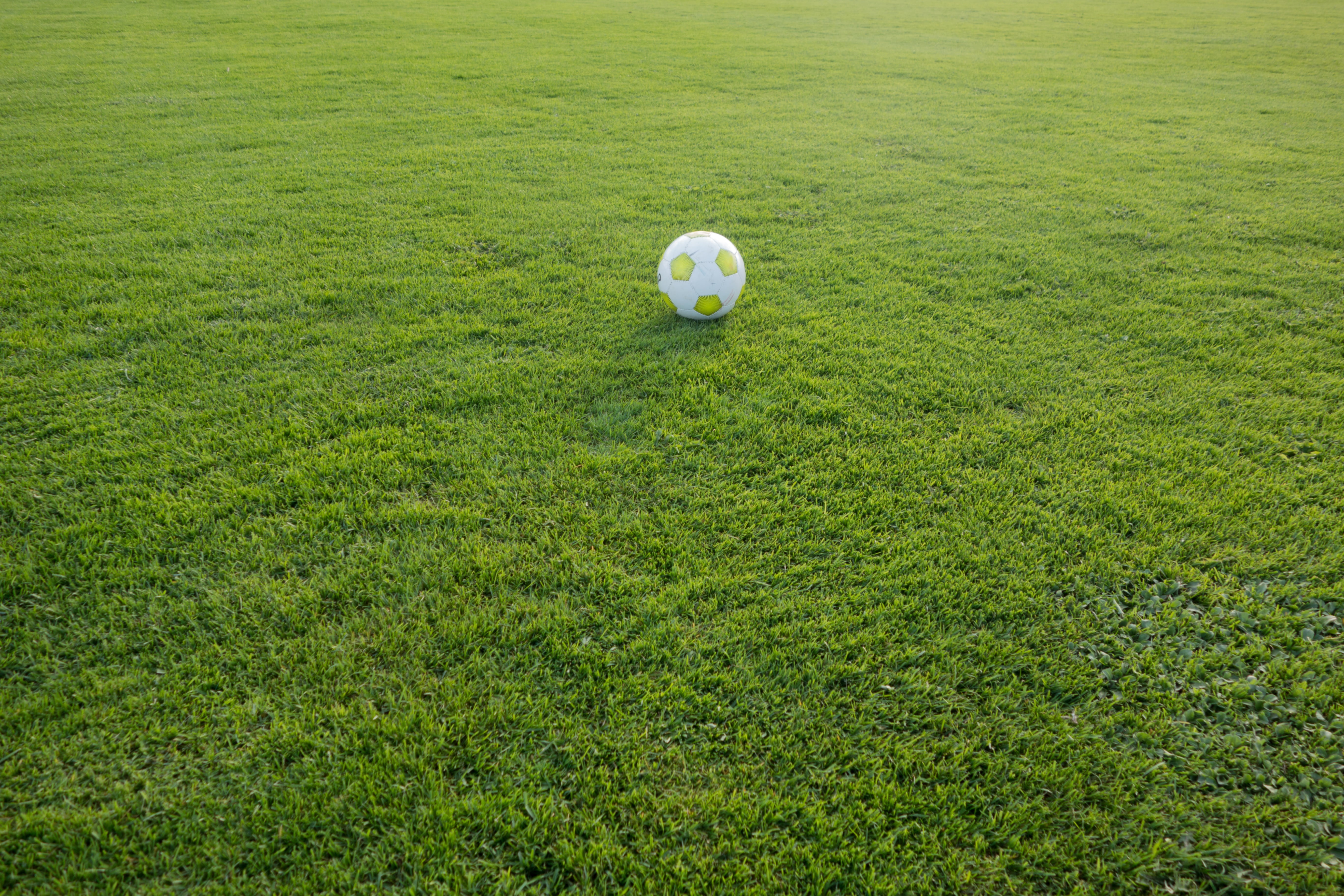 activity, plant, leisure activity, day