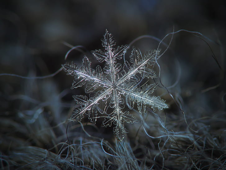 Amazing Snowflake, outdoor, fabric, north, dark Free HD Wallpaper