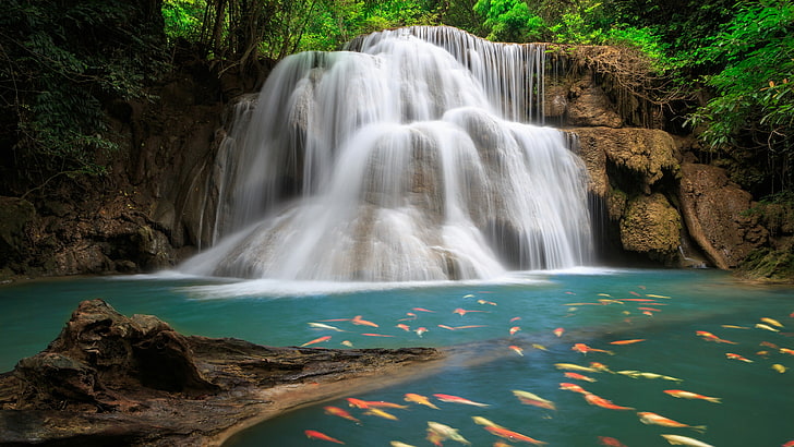 Animated Waterfall Moving, stream, tree, plant, thailand Free HD Wallpaper