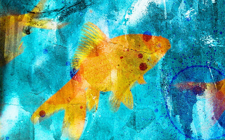 blue, graffiti, yellow, goldfish Free HD Wallpaper