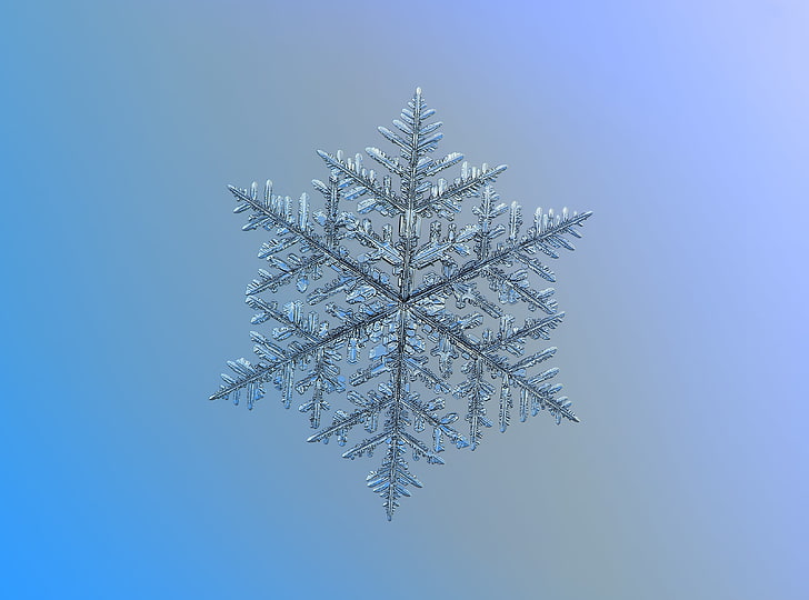 Colorful SnowFlakes, structure, macro, aero, isolated