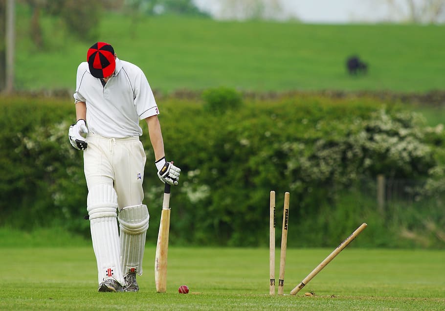 Cricket Sport, green  golf course, game, taking a shot  sport, ball Free HD Wallpaper