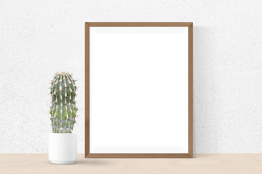 Deluxe Wall Gallery Frame Set, copy space, white color, design, blank Free HD Wallpaper