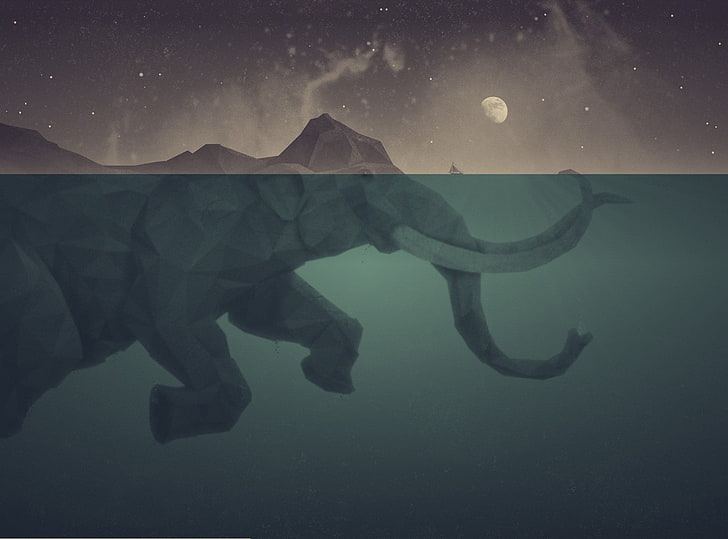 Elephant in Water, space, star  space, sky, one person Free HD Wallpaper