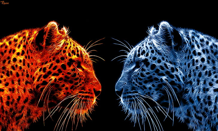 Fire vs Ice, danger, leopard, poster  art, nature Free HD Wallpaper