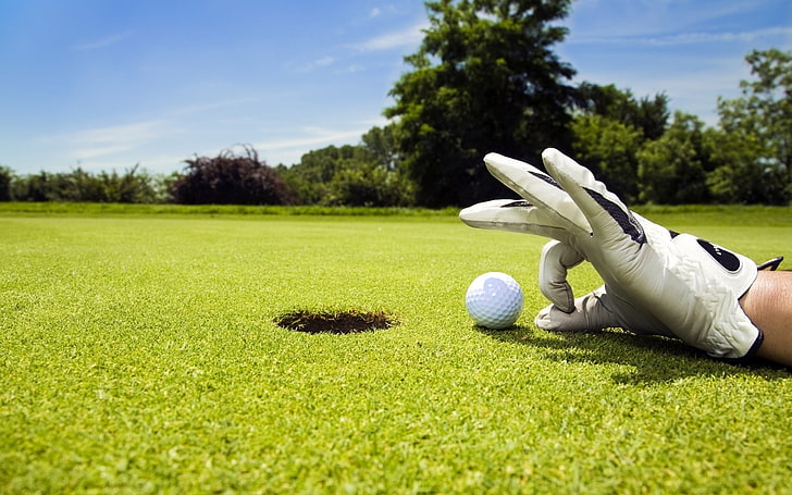 Funny Golf Moments, golf course, plant, sky, green  golf course Free HD Wallpaper