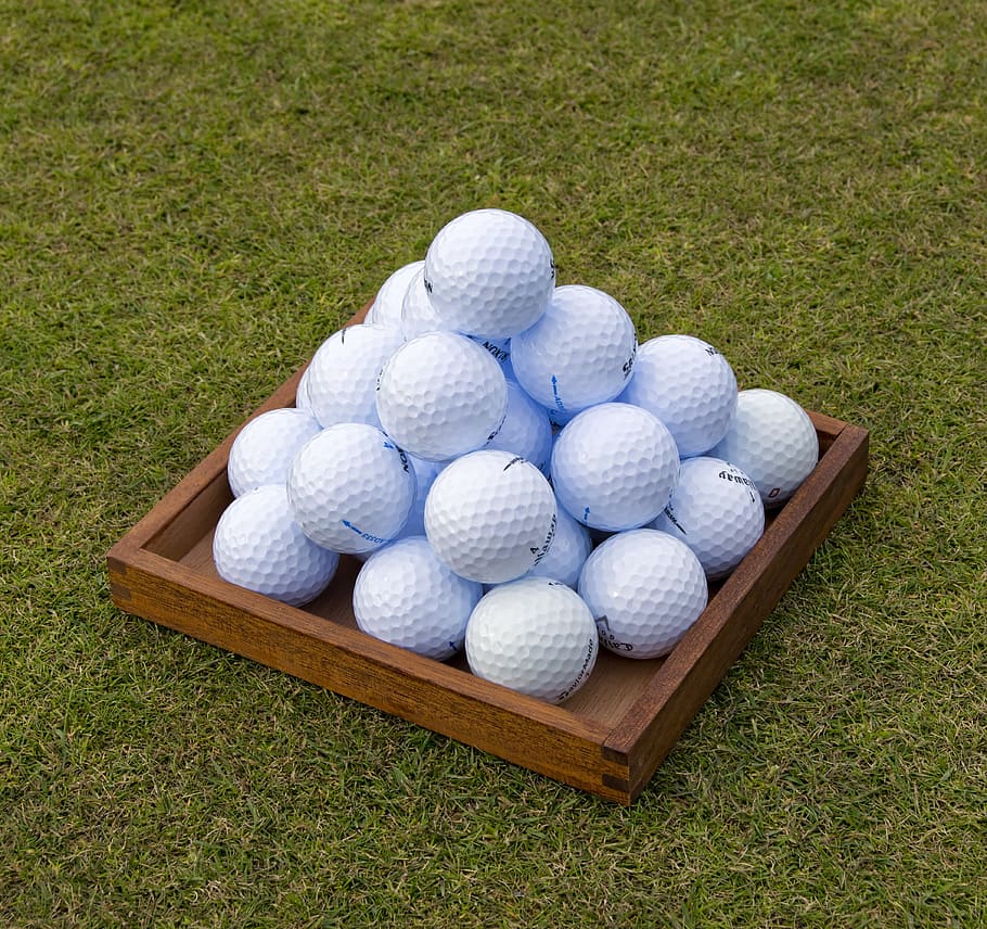 Golf Ball Net, leisure, club, plant, food Free HD Wallpaper