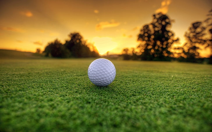 Golf Ball Sport, hole, green  golf course, putting green, plant Free HD Wallpaper