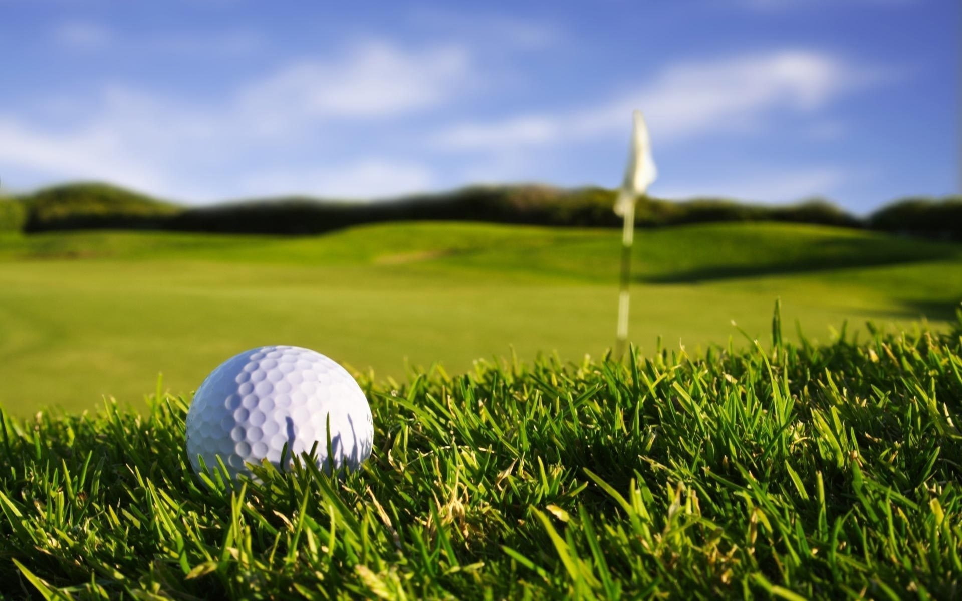 golf, green, grass,, white