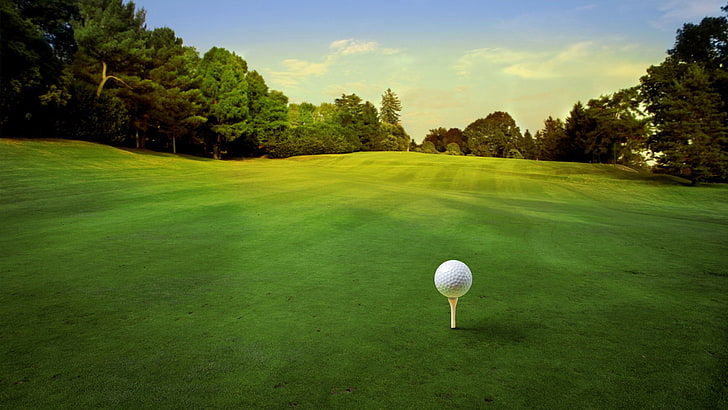 Golf Terrain, green  golf course, tree, no people, sky Free HD Wallpaper