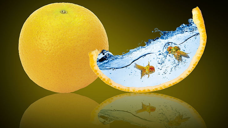 Most Creative Photoshop, goldfish, water, food, citrus