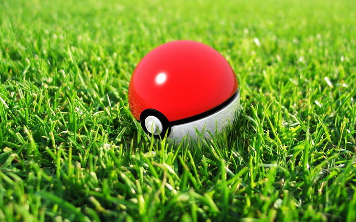 Pokemon X and Y Remake, selective focus, competition, outdoors, green color Free HD Wallpaper