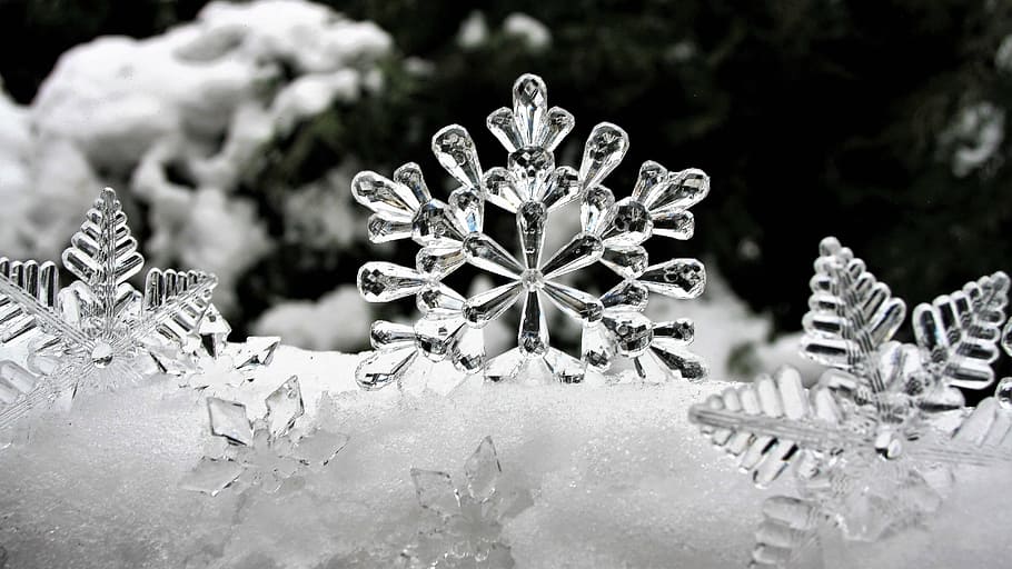 selective focus, nature, religion, merry christmas