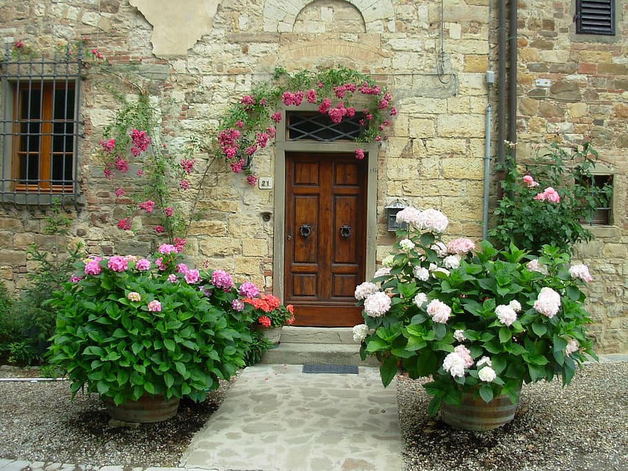 Types of Front Doors, facade, plant, old, window Free HD Wallpaper