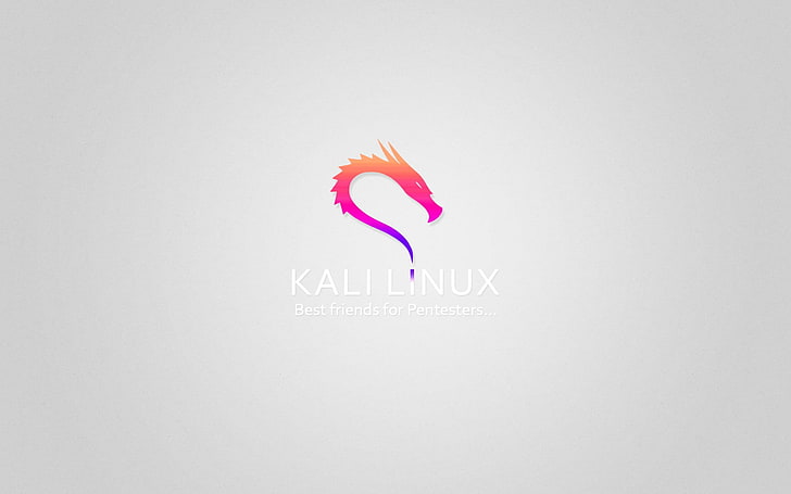 What Is Kali Linux, text, pink color, copy space, studio shot Free HD Wallpaper