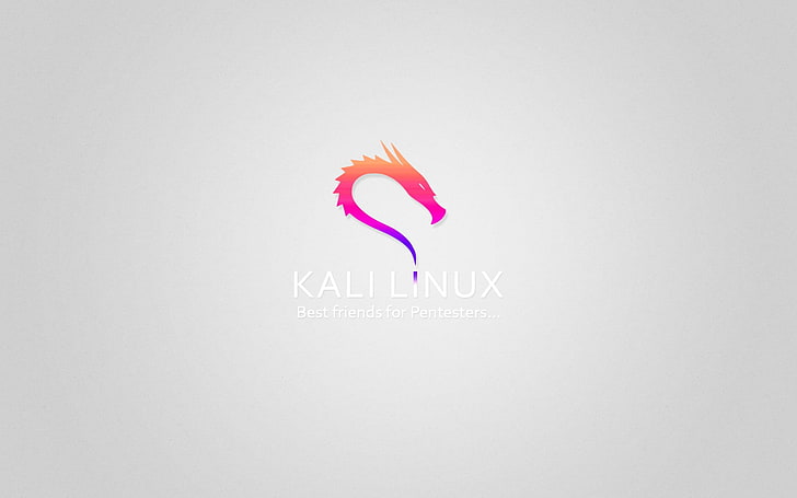 What Is Kali Linux, text, pink color, copy space, studio shot