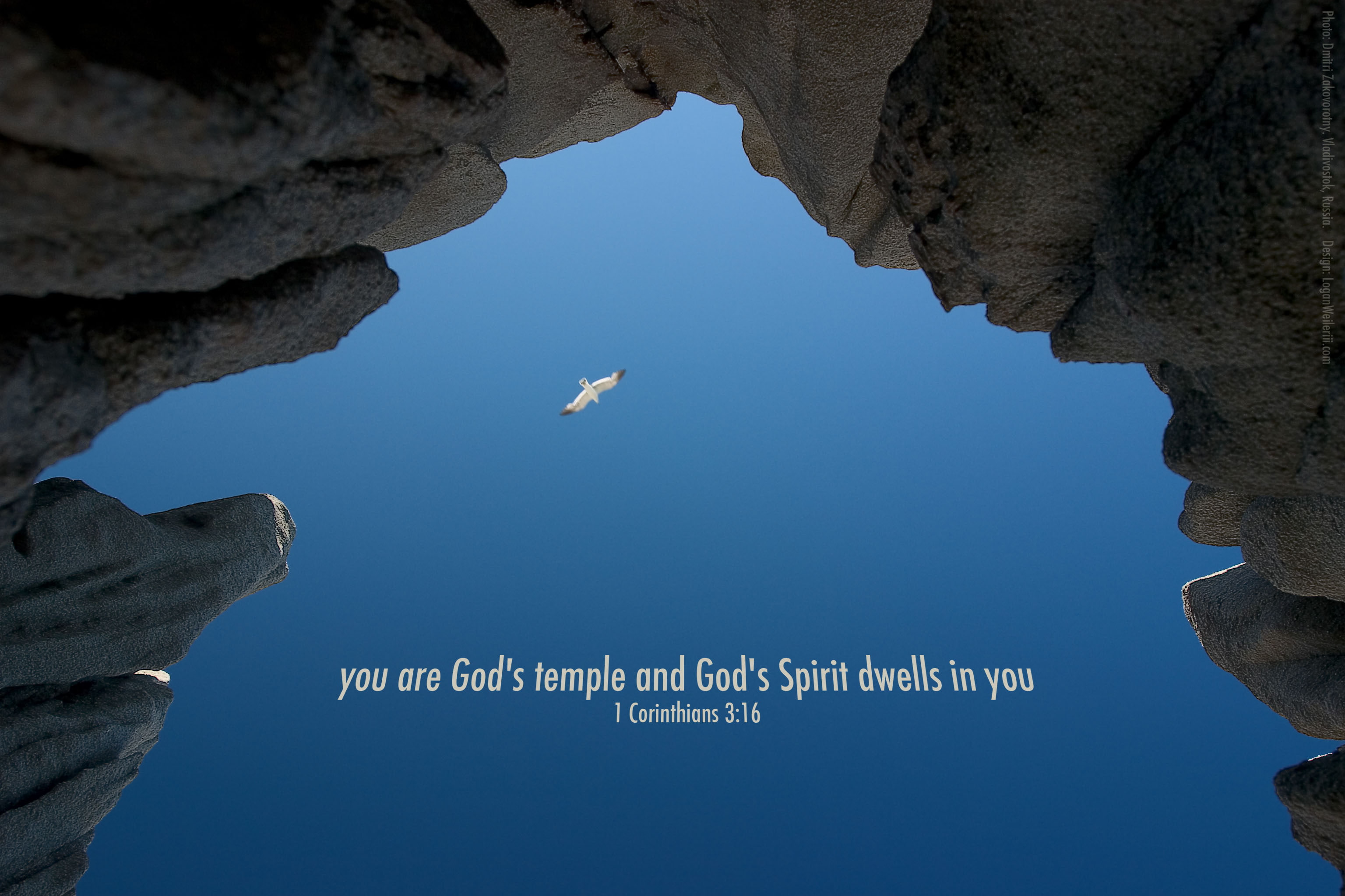 Addisson Lorie Blonde Ambition, bible verses, quote, poster, verses