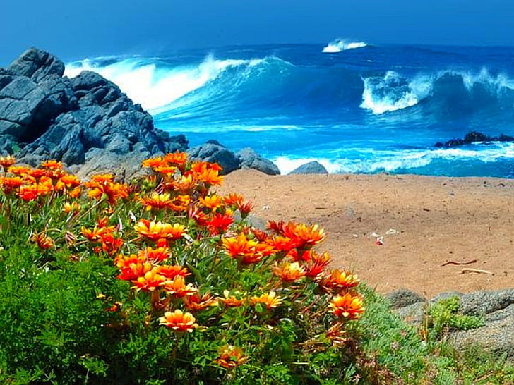 art, cool, flowers on beach, flowers Free HD Wallpaper