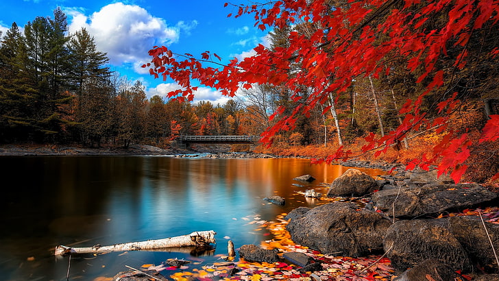 Autumn Halloween Scenes, scenics, lake, orange color, season Free HD Wallpaper