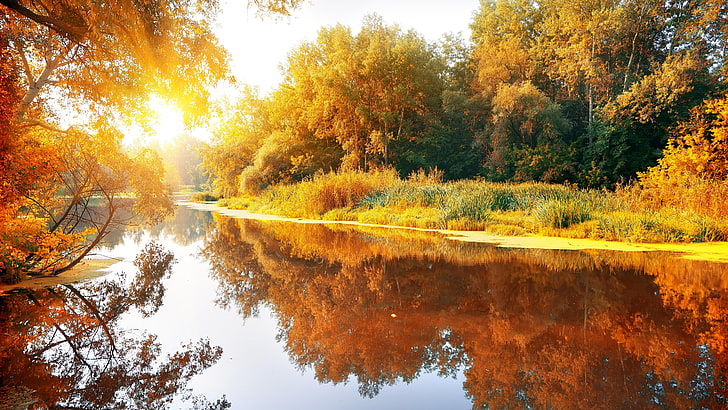 Beautiful Autumn River, change, tree, autumn collection, natural condition Free HD Wallpaper