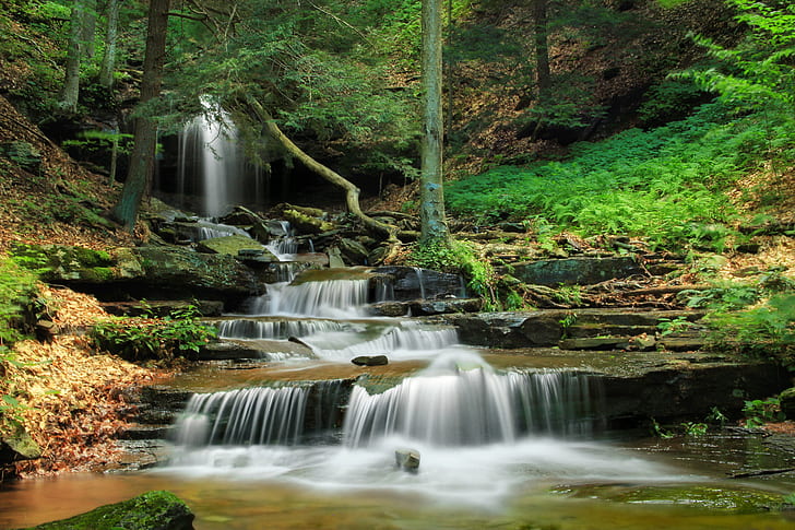 Beautiful Flowing Water, stream, water, waterfall, plant Free HD Wallpaper