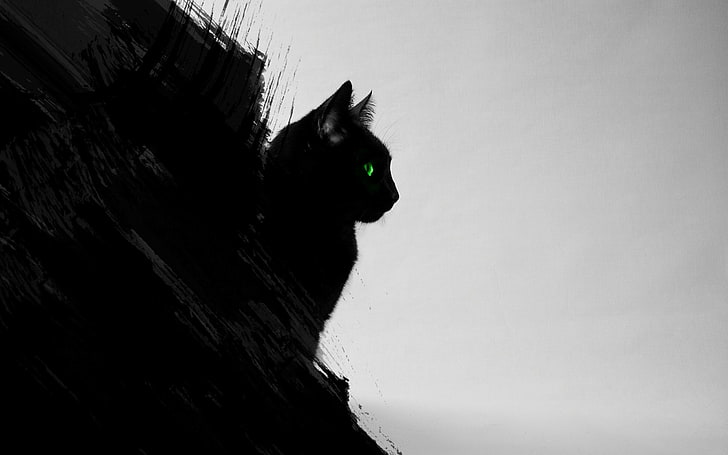 Black and White Cat Green Eyes, copy space, mammal, silhouette, no people Free HD Wallpaper