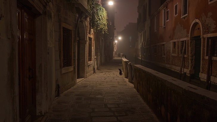 Dark Academia Books, no people, empty, street light, lighting equipment