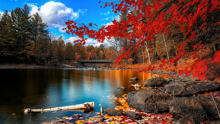 Fall Landscapes, design, color, lake, colorful Free HD Wallpaper