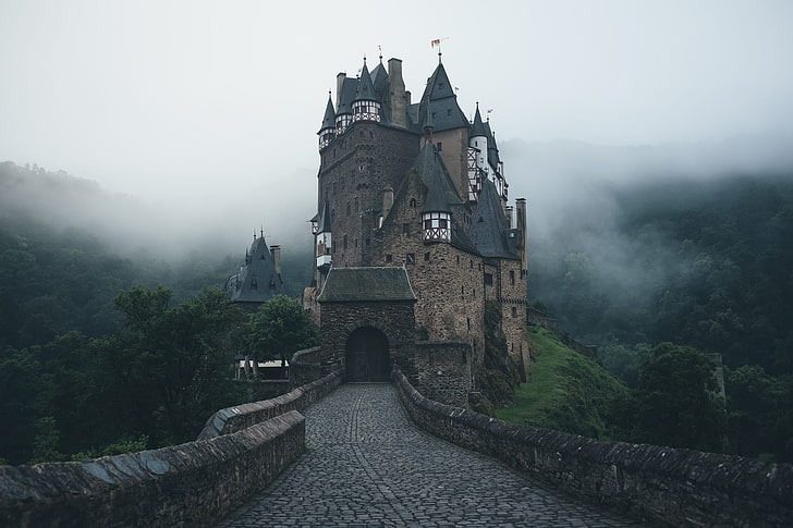 Heidelberg Castle, great wall of china, morning, famous place, nature Free HD Wallpaper