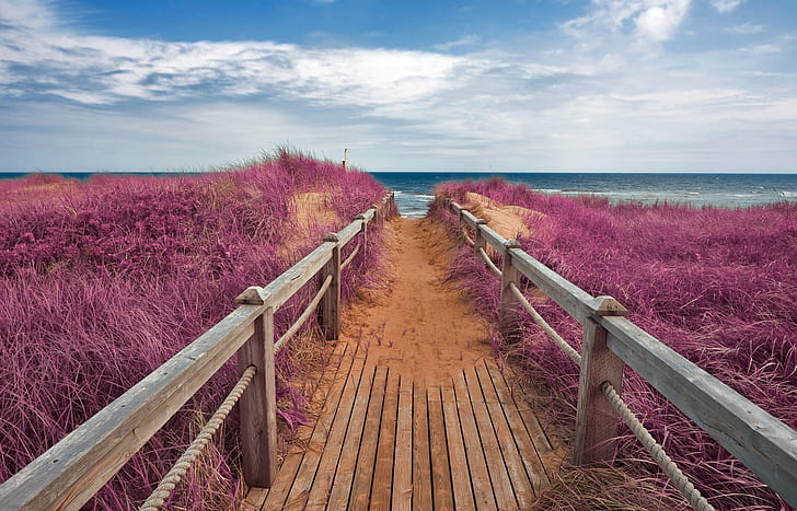 passage, canada, surreal, colourful Free HD Wallpaper