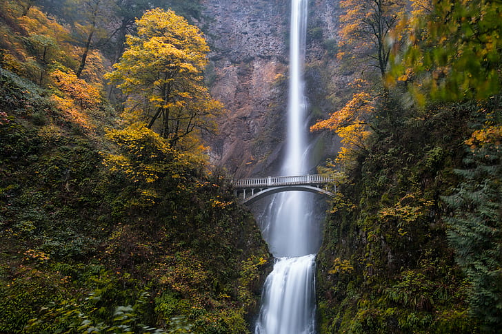 Rainbow Falls, bridge, beauty in nature, stream, landscape