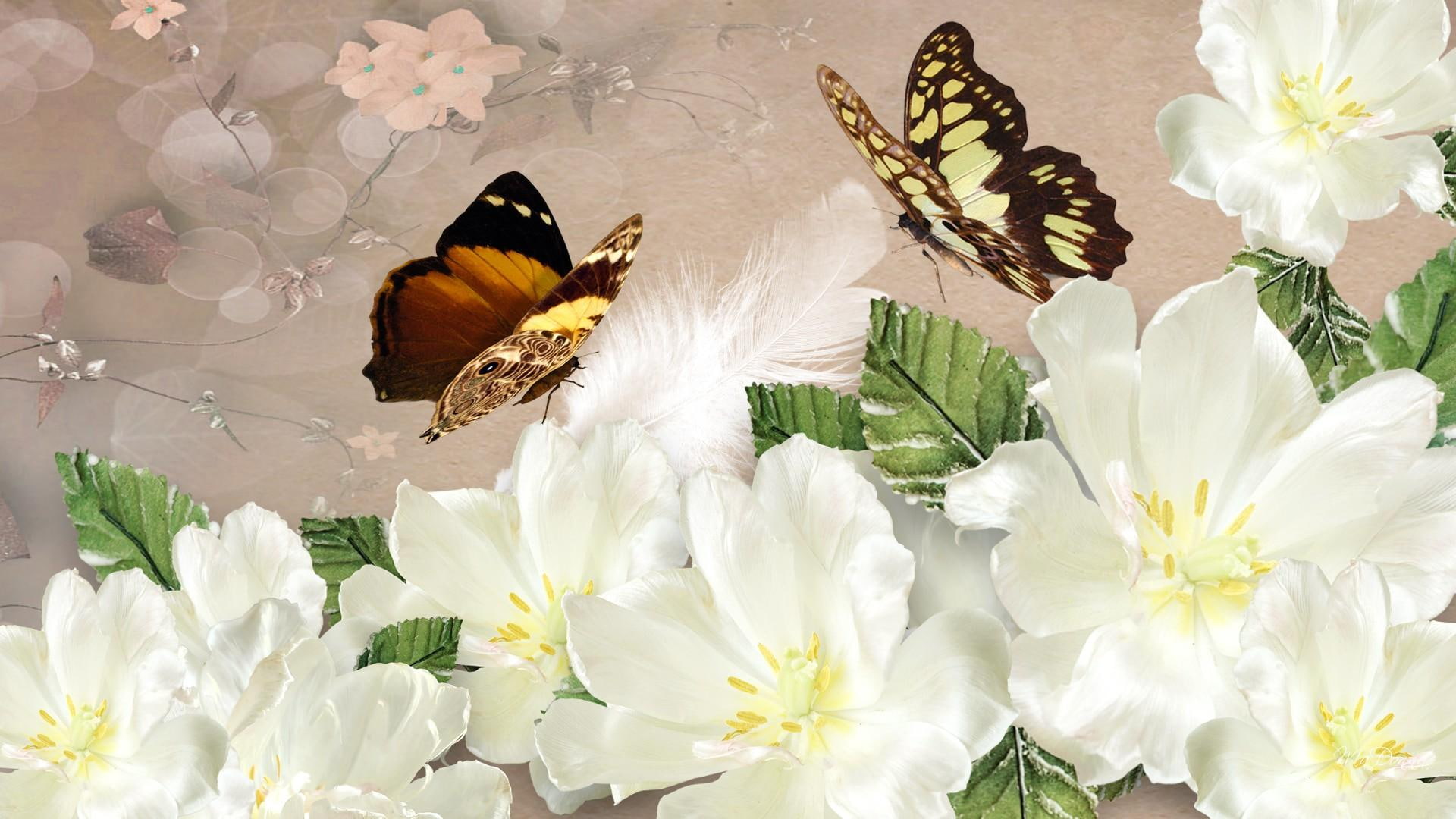 rose, lovely, butterflies, summer