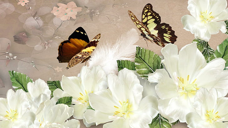 rose, lovely, butterflies, summer Free HD Wallpaper