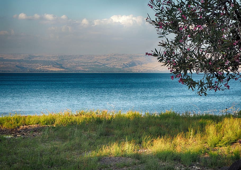 Sea of Galilee Boat, spirituality, tree, christian, jesus Free HD Wallpaper