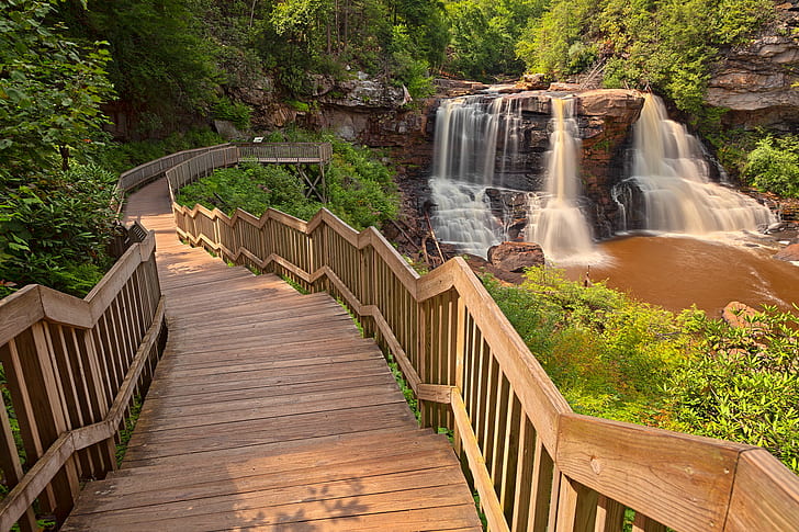 West Virginia State Parks Cabins, tree, steps, west  virginia, outside Free HD Wallpaper