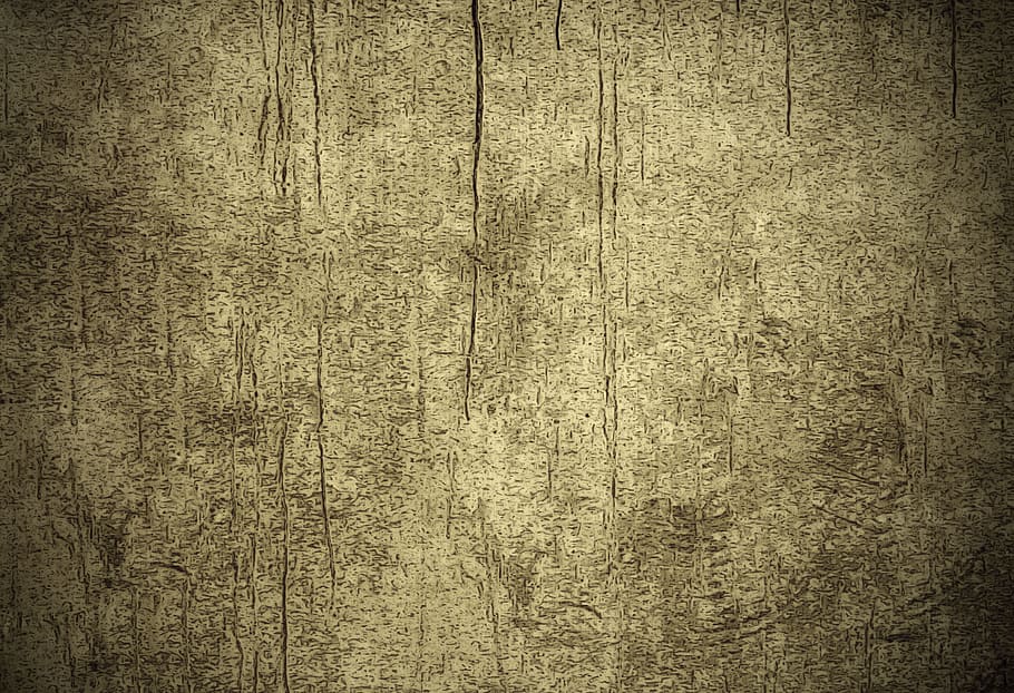 Wood Backdrop, no people, wall, rock, solid