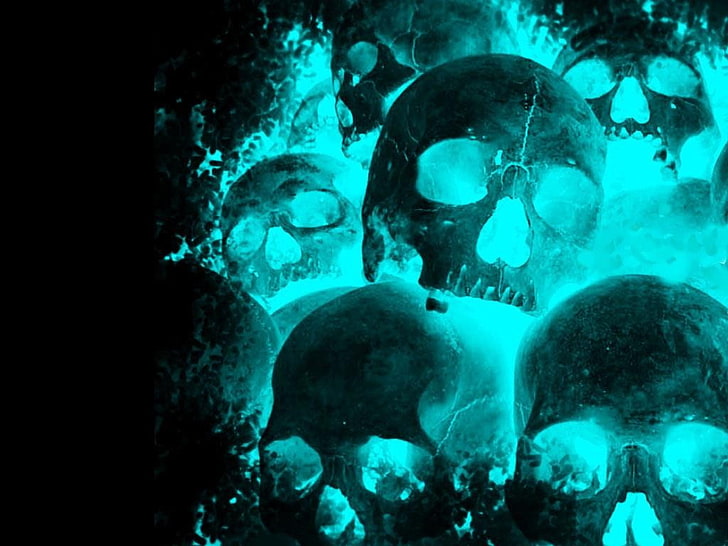 Animated Skull, water, vertebrate, blue, nature Free HD Wallpaper
