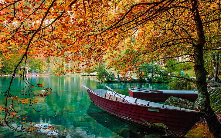 Autumn Lake Beautiful Scenery, pond, travel, nautical vessel, plant Free HD Wallpaper