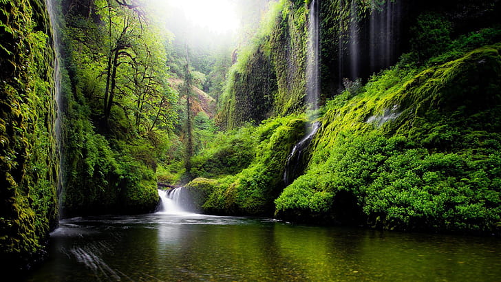 Awesome Nature, spring, oregon, river, nature Free HD Wallpaper