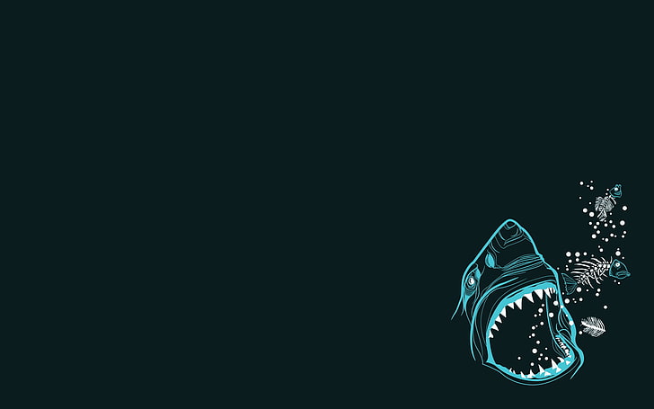 Awesome Sharks, cut out, studio shot, indoors, closeup Free HD Wallpaper